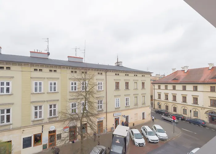 Native s Augustianska 24